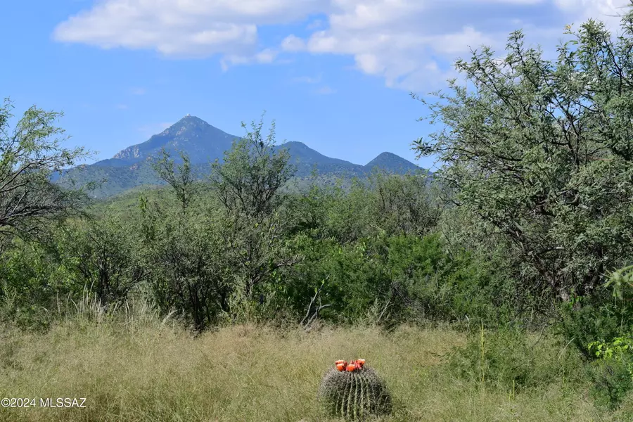 TBD Bond Canyon Road #70, Tubac, AZ 85646