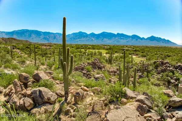 Oro Valley, AZ 85755,1586 W Rock Range Place #228