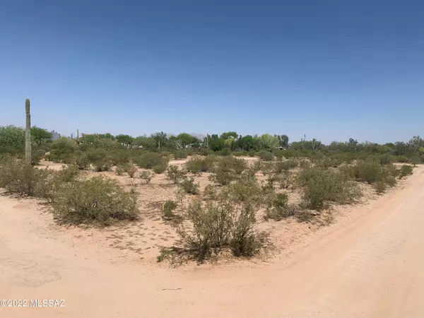 Marana, AZ 85653,TBD S Longhorn Trail