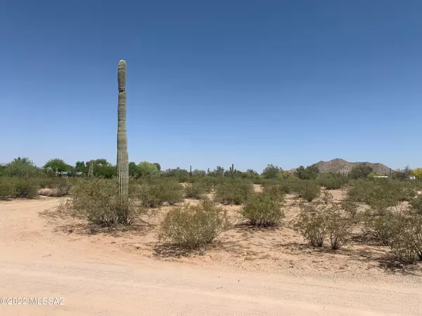 Marana, AZ 85653,TBD S Longhorn Trail