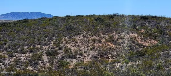 Tombstone, AZ 85638,TBD E Rainbow Road