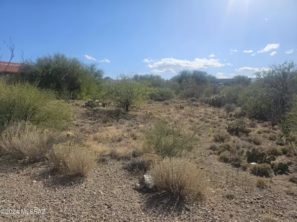 Vail, AZ 85641,13952 E Hay Bale Trail