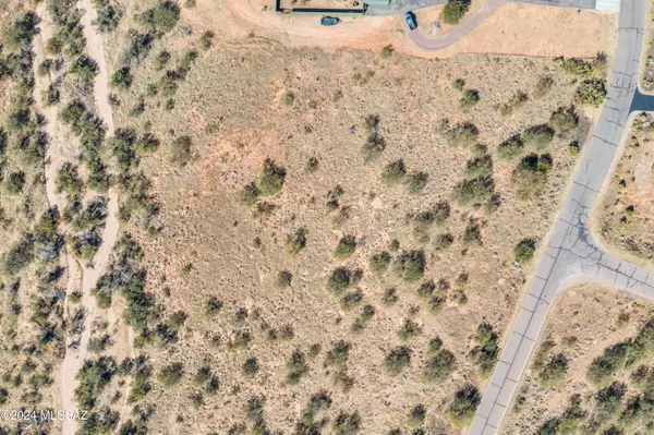 Benson, AZ 85602,TBD W Thunder Pass Road, Lot 65  #65