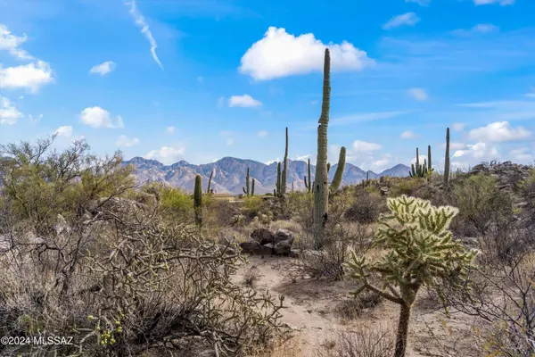 Oro Valley, AZ 85755,530 E Thunderstorm Place #116