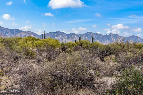 Oro Valley, AZ 85755,530 E Thunderstorm Place #116