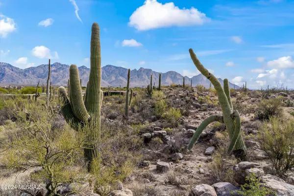 Oro Valley, AZ 85755,530 E Thunderstorm Place #116