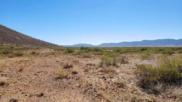 Pearce, AZ 85625,1.48 AC S Sage Street #16