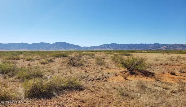 Pearce, AZ 85625,1.48 AC S Sage Street #16