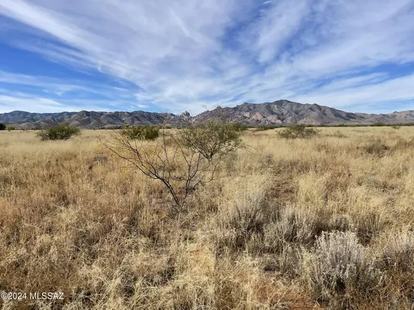 Pearce, AZ 85625,3.42 acres TBD CODY Street #370