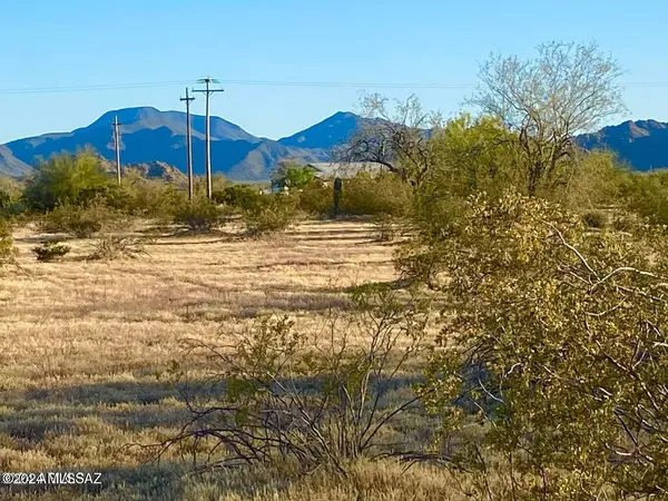 Maricopa, AZ 85139,0 W Century Rd Lot C 1.51 Acres