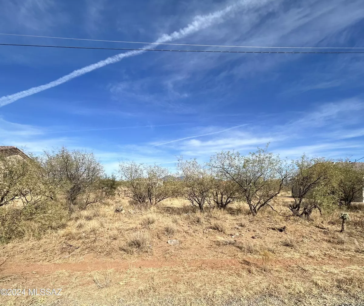 Rio Rico, AZ 85648,1787 Birmania Corte  #4