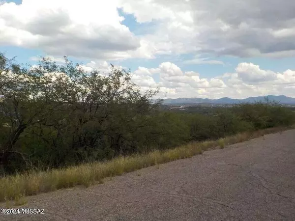 Rio Rico, AZ 85648,1217 Circulo Yerba Buena  #12