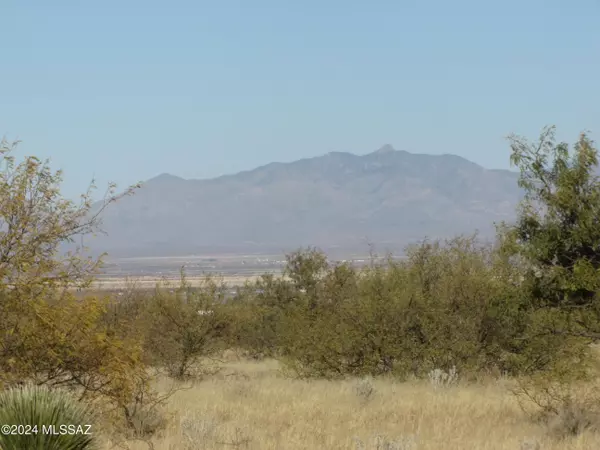 Pearce, AZ 85625,TBD W Pearce Road #13