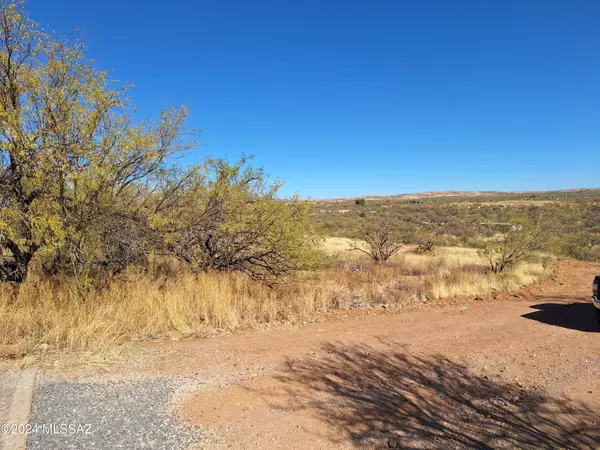 Arivaca, AZ 85601,16771 W Arivaca Road #194