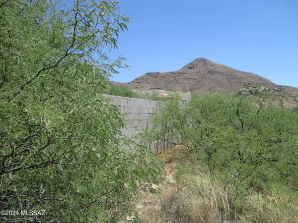 Rio Rico, AZ 85648,423 Camino Osito  #63