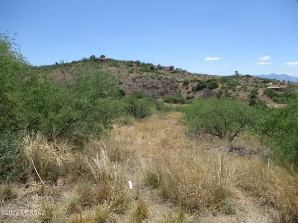 Rio Rico, AZ 85648,423 Camino Osito  #63