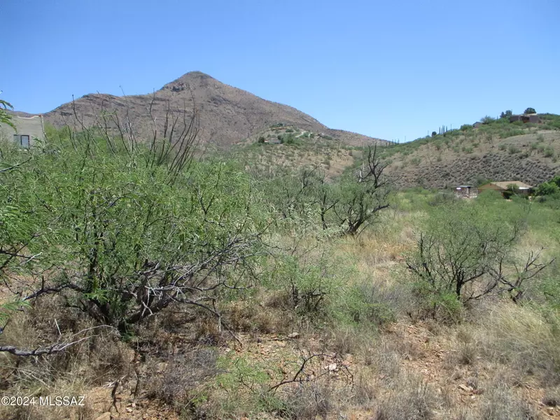 423 Camino Osito  #63, Rio Rico, AZ 85648