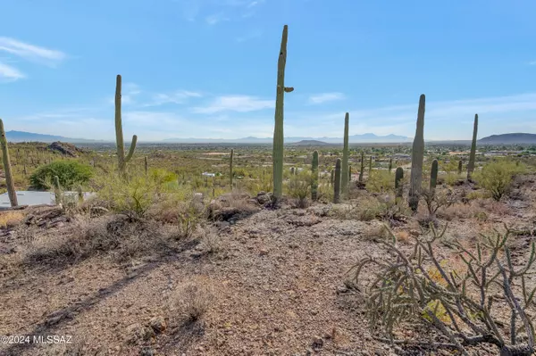 Tucson, AZ 85746,4896 S Cactus Wren Avenue