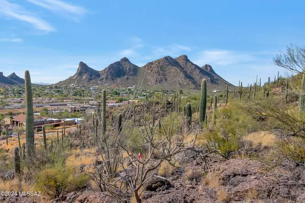 Tucson, AZ 85746,4896 S Cactus Wren Avenue