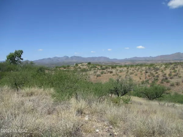 Rio Rico, AZ 85648,430 Camino Osito  #21