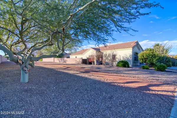 Tucson, AZ 85747,10530 E Bonpland Willow Drive