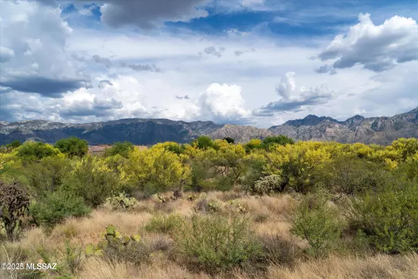 Tucson, AZ 85739,0 N Oracle Road