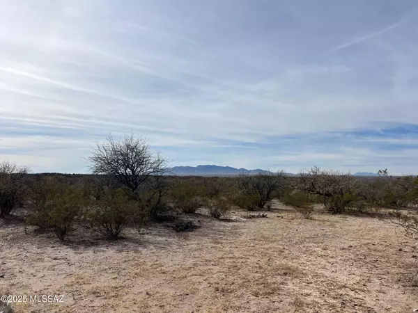 Benson, AZ 85602,5.29 AC N Cascabel Road