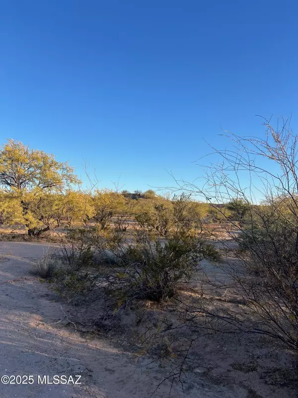 Benson, AZ 85602,5.29 AC N Cascabel Road