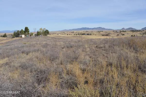 Sonoita, AZ 85637,93 Cayuse Trail #127