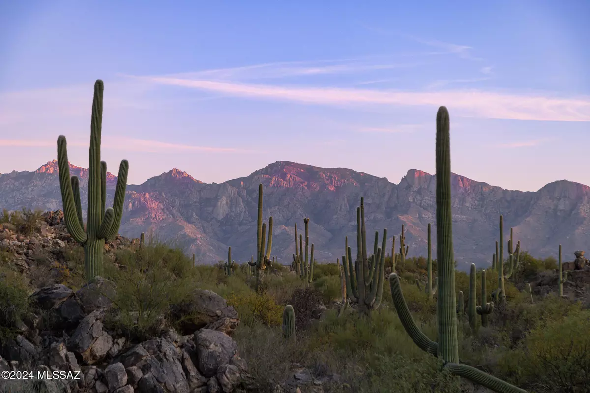 Oro Valley, AZ 85755,1535 W Tortolita Mountain Circle