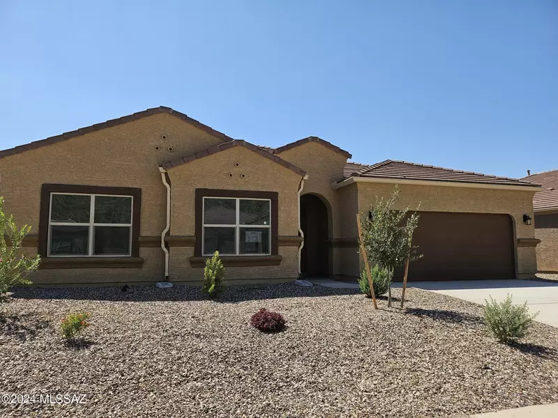 10087 Black Dalea Drive, Marana, AZ 85653