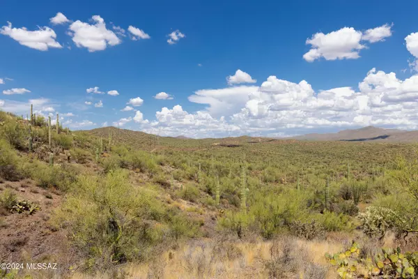 Marana, AZ 85658,000 S Ladybug Street