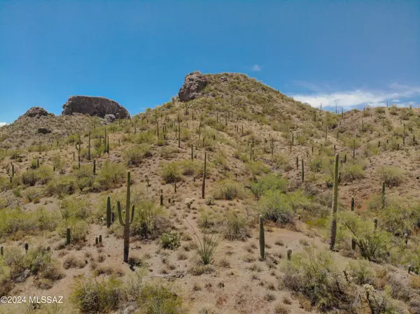 Marana, AZ 85658,000 S Ladybug Street
