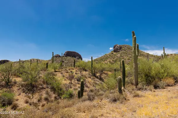 Marana, AZ 85658,0000 S Ladybug Street
