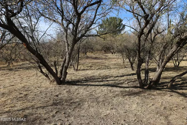 Patagonia, AZ 85624,145 Three R Avenue #B