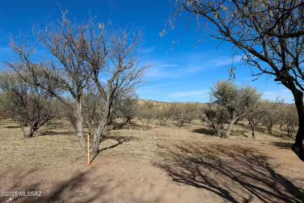 Patagonia, AZ 85624,145 Three R Avenue #B