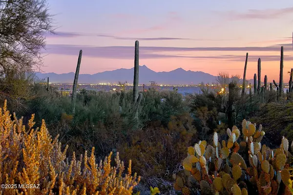 Tucson, AZ 85718,2420 E CAMINO LA ZORRELA