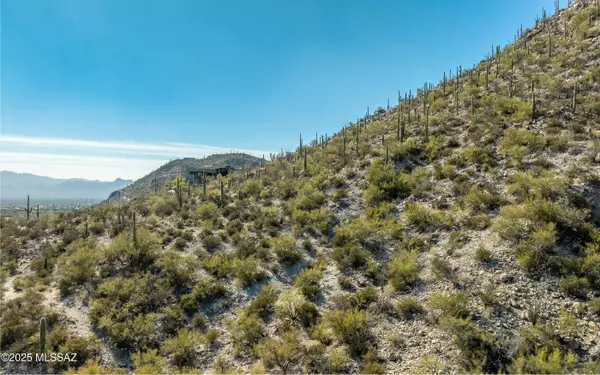 Marana, AZ 85658,14760 N Soaring Dove Place #66