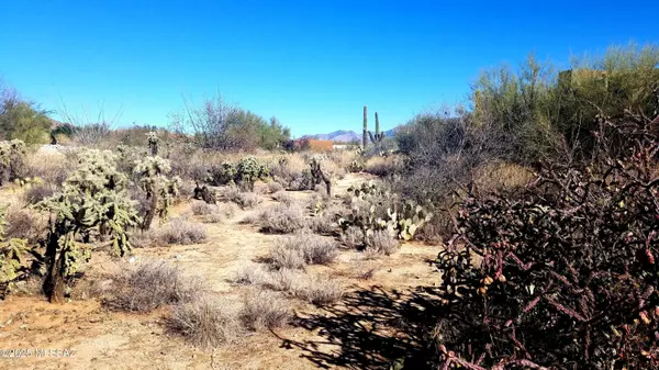 Oro Valley, AZ 85755,13963 Bowcreek Springs Place