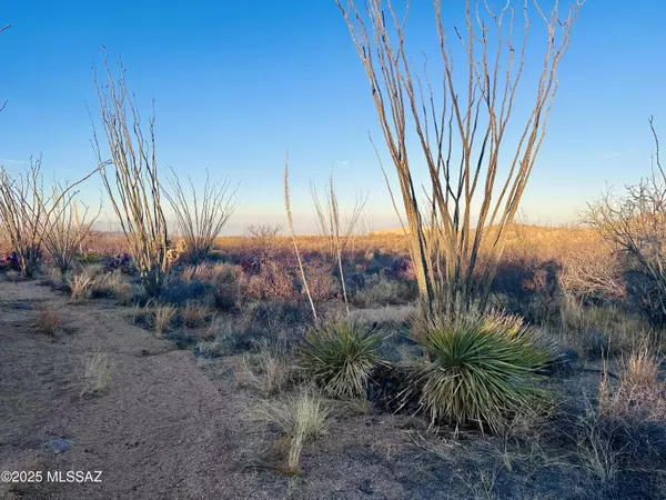 7377 W Bucking Horse Road, Sahuarita, AZ 85629
