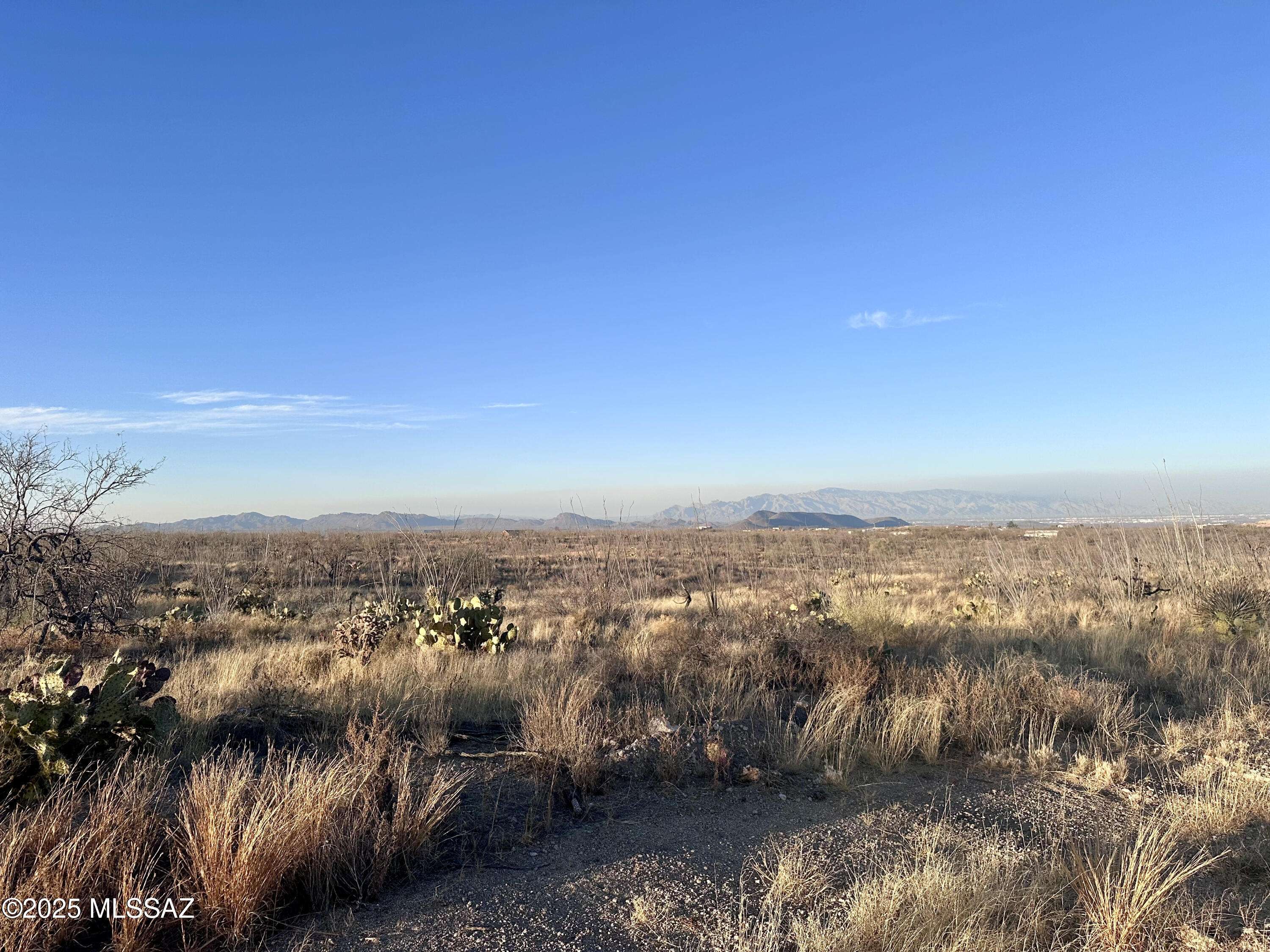 Sahuarita, AZ 85629,7377 W Bucking Horse Road