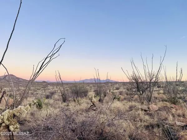 Sahuarita, AZ 85629,7377 W Bucking Horse Road