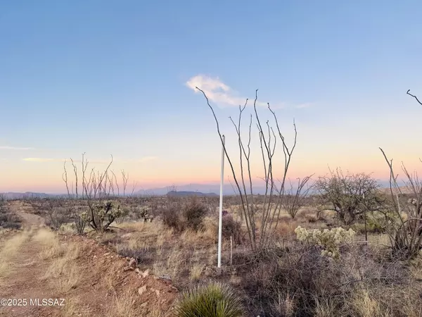 Sahuarita, AZ 85629,7377 W Bucking Horse Road