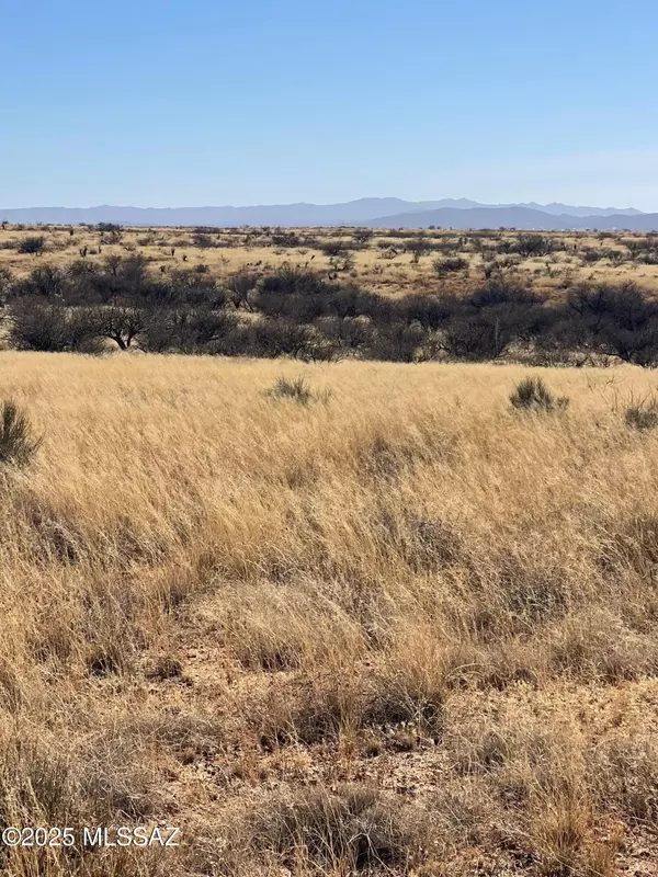 St. David, AZ 85630,000 E E. Naiche ln #29