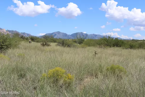 TBD E Cochise Trail #3, St. David, AZ 85630