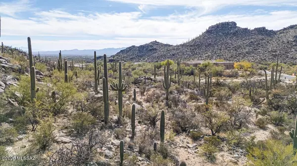 Marana, AZ 85658,4405 W Random Rock Place #201