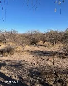 Rio Rico, AZ 85648,1796 Concha Court #18