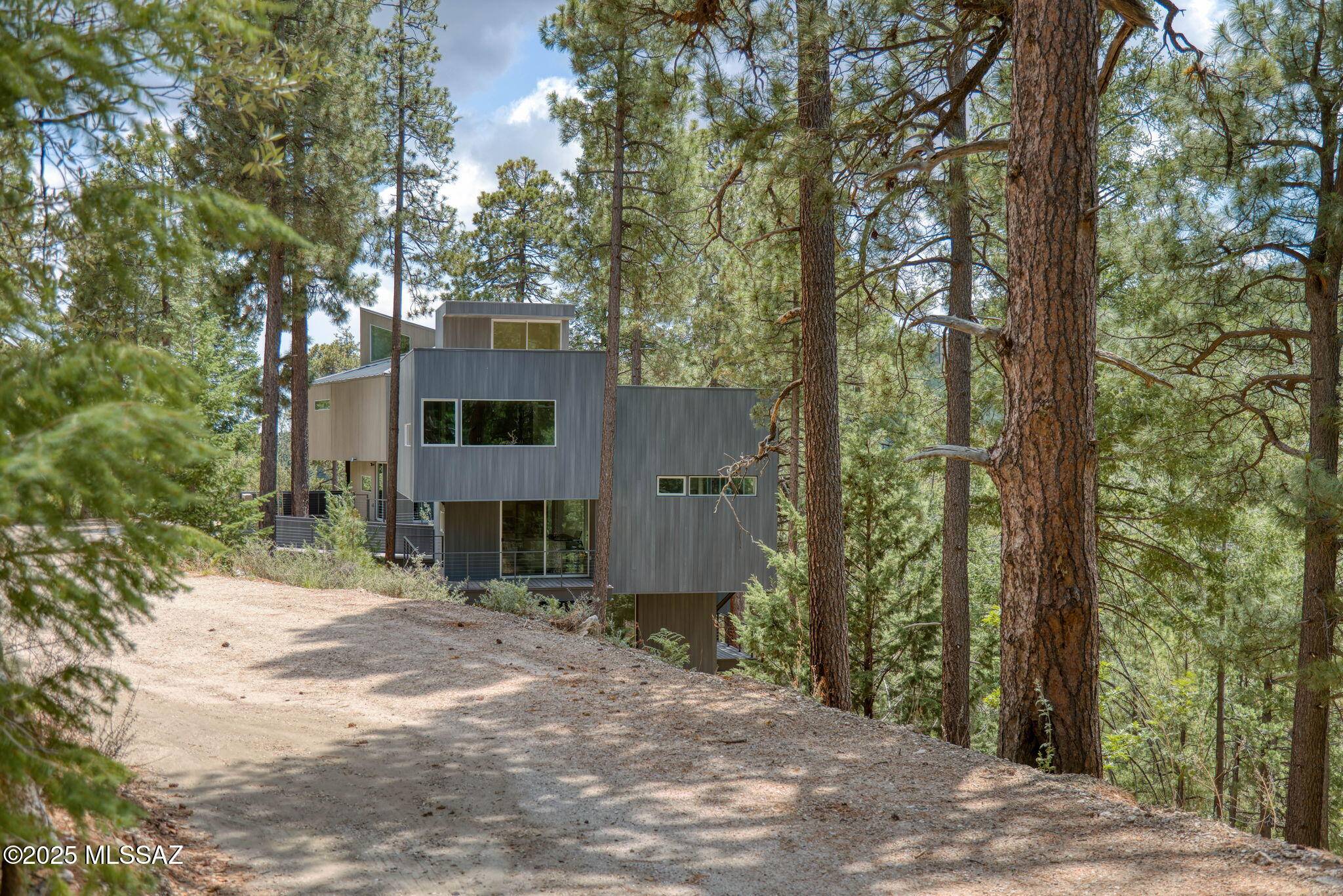 12625 N Ray Avenue, Mt. Lemmon, AZ 85619