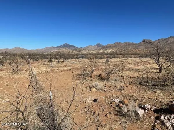 Rio Rico, AZ 85648,TBD Salero Canyon Rd  #128