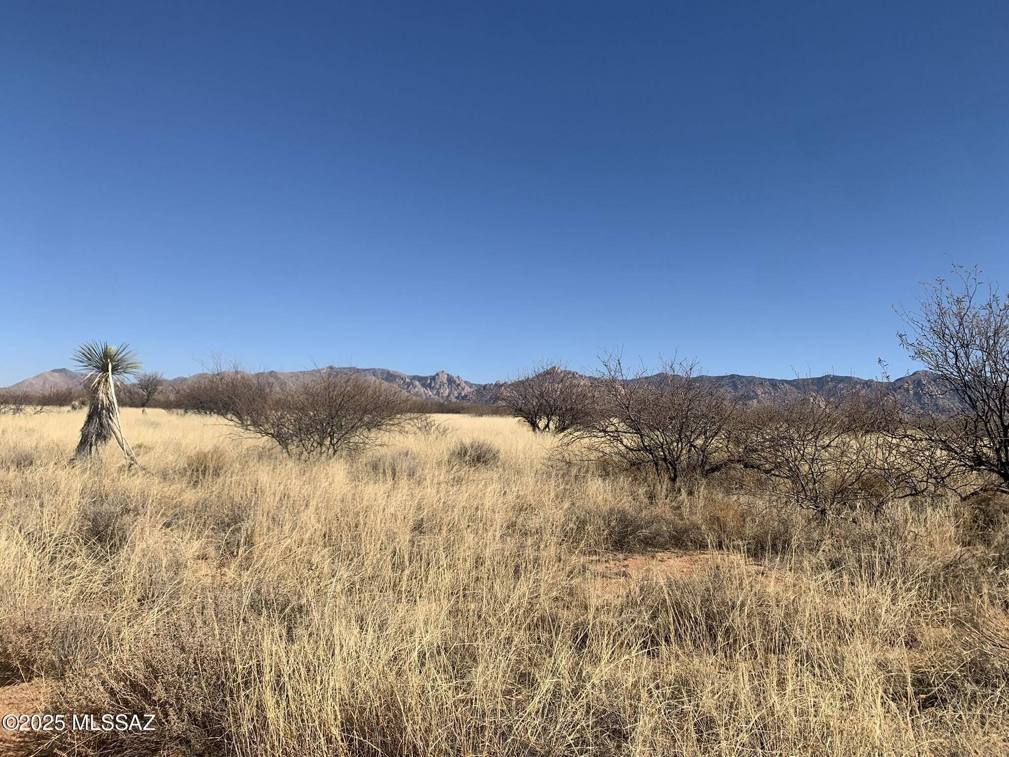 TBD S De Niza #48, St. David, AZ 85630
